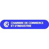 Logo CCI France